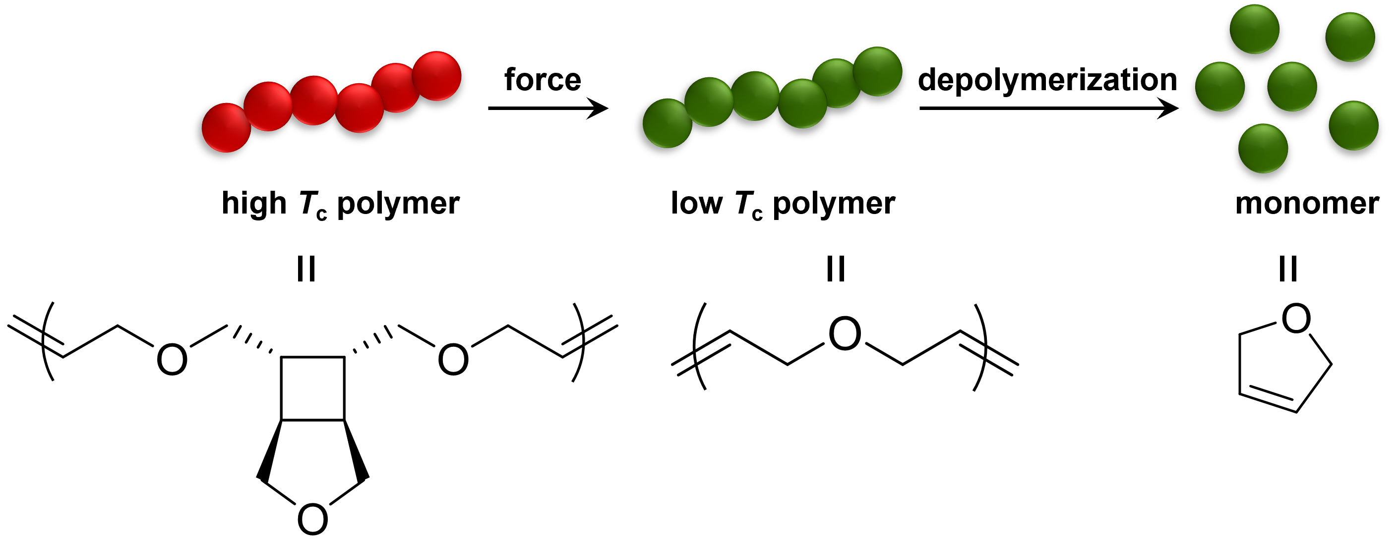 Publications – Junpeng Wang Lab